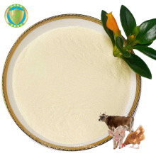 High Quality Oem Feed Grade Feed Additive Lactobacillus Plantarum Animal Probiotic Powder